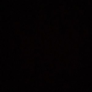 Meet your Posher, Jusin